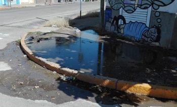 “Es un criadero potencial de dengue” Imagen de la nota: “Es un criadero potencial de dengue”