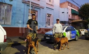 Imagen de la nota: Los artífices del trabajo detrás de cada búsqueda