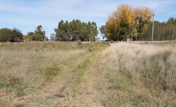 Imagen de la nota: Denuncian la utilización de un camino para esquivar bloqueos