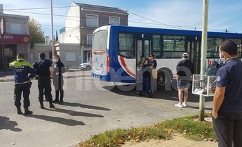 Un colectivo y una bici protagonizaron un choque Imagen de la nota: Un colectivo y una bici protagonizaron un choque