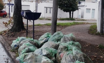 Imagen de la nota: Denunciaron basura y se lo limpiaron