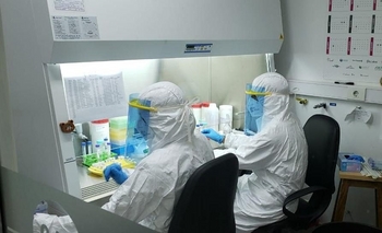 Imagen de la nota: Se registraron 7.311 nuevos contagios de coronavirus