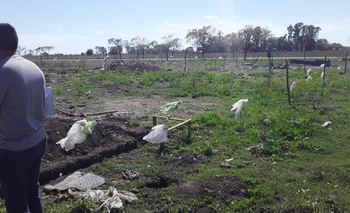 Video: continúa la toma de terrenos en el Barrio Lourdes Imagen de la nota: Video: continúa la toma de terrenos en el Barrio Lourdes