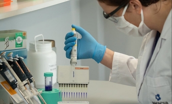 Imagen de la nota: The Lancet publicó los resultados del estudio del suero equino hiperinmune