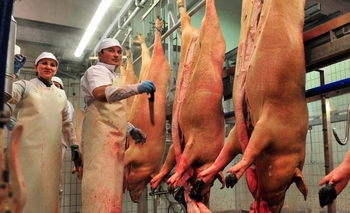 Imagen de la nota: Anunciaron la construcción de un frigorífico 