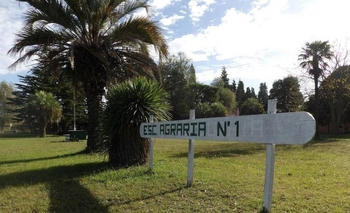 Nuevos proyectos sobre la Escuela Agraria N° 1 Imagen de la nota: Nuevos proyectos sobre la Escuela Agraria N° 1