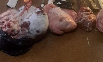 Imagen de la nota: Benito Juárez: olavarrienses implicados en un abigeato