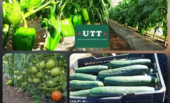 Imagen de la nota: Feria de verduras en el Parque Helios Eseverri