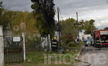 Imagen de la nota: Se prendió fuego un pino y quemó cables de luz