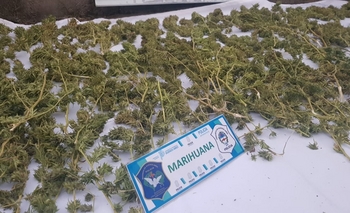 Imagen de la nota: Pidieron la detención de un aprehendido por droga