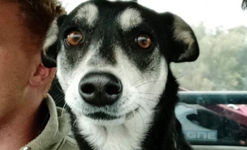 Imagen de la nota: Una familia busca a Samira