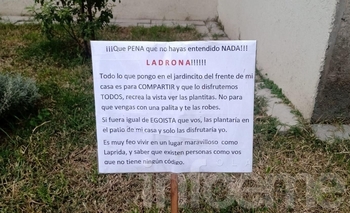 La indignación de una lapridense por el ataque de una robaplantas Imagen de la nota: La indignación de una lapridense por el ataque de una robaplantas