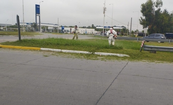 Imagen de la nota: Sin respuesta de Vialidad Nacional, el Municipio cortó el pasto en la ruta 226