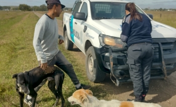 Imagen de la nota: Cazador cazado in fraganti: entró a un campo con galgos y terminó multado