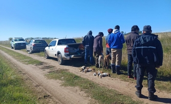 Imagen de la nota: Cinco aprehendidos en Espigas por cazar liebres con galgos