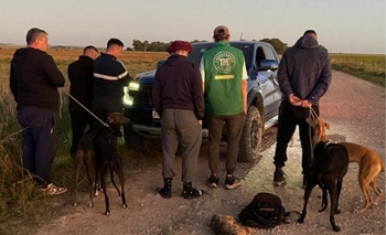 Imagen de la nota: Loma Negra: atraparon a 6 cazadores con galgos y liebres muertas