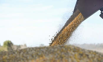 Imagen de la nota: El Gobierno eliminó el RUCA para simplificar el comercio de granos