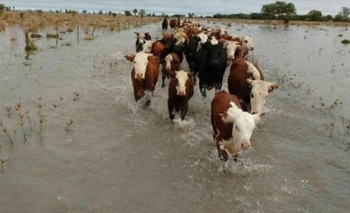 Imagen de la nota: Responsabilizan a los parques eólicos de Techint por la inundación en Recalde