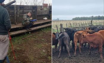 Imagen de la nota: Avance clave en una investigación por abigeato 