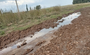 Imagen de la nota: Concejales opositores proponen suspender la tasa vial 