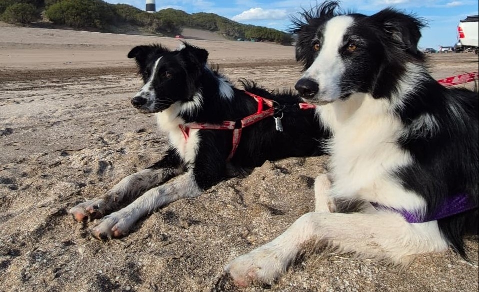 imagen mas leída seccion 