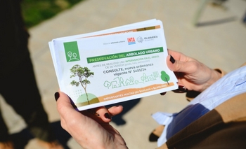 Imagen de la nota: Charla sobre manejo del arbolado público y buenas prácticas de poda