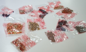 Imagen de la nota: Entregaron unos 500 kits de semillas