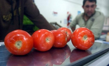Se disparó el precio del tomate: en Olavarría se paga hasta 38 pesos el kilo Imagen de la nota: Se disparó el precio del tomate: en Olavarría se paga hasta 38 pesos el kilo