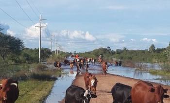 Imagen de la nota: 7 distritos bonaerenses lograron la declaración de Emergencia Agropecuaria