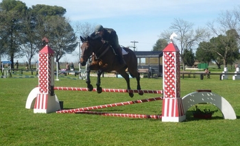 Imagen de la nota: Comenzó el torneo Federal Anual de Equitación
