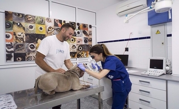 Imagen de la nota: “Permitirá brindar un servicio de mayor calidad”