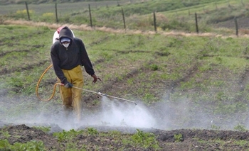 Imagen de la nota: Advierten por falta de control en uso de Agroquímicos
