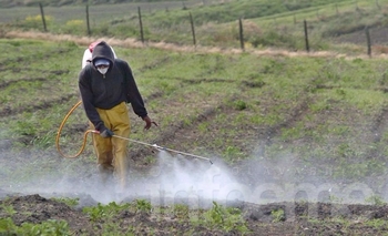 Imagen de la nota: Advierten por falta de control en uso de Agroquímicos