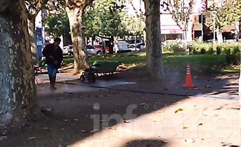 Imagen de la nota: Se suman voces al debate por los tordos de la Plaza