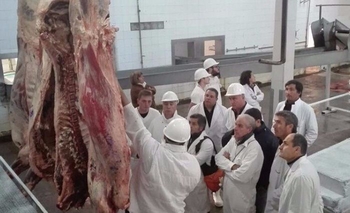 Imagen de la nota: Capacitación sobre inspección veterinaria en Buenos Aires 