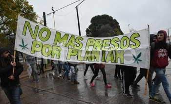“Encarcelando usuarios no se lucha contra el narcotráfico” Imagen de la nota: “Encarcelando usuarios no se lucha contra el narcotráfico”