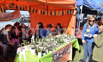 Imagen de la nota: Feria 