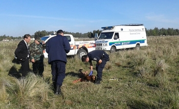 Imagen de la nota: Clasuraron el comercio y secuestraron una camioneta