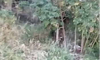 Quejas por basura en un terreno baldío de Loma Negra Imagen de la nota: Quejas por basura en un terreno baldío de Loma Negra