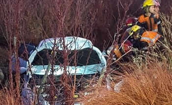 Imagen de la nota: Daireaux: chocó contra un caballo suelto y murió 