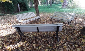 Imagen de la nota: Encontraron los bancos de la parroquia de Colonia Hinojo