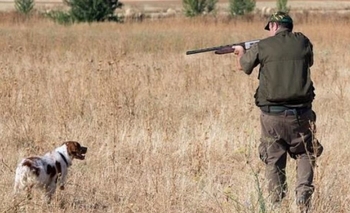 Imagen de la nota: Habilitan la caza de liebres en Olavarría por 3 meses