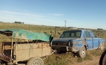 Imagen de la nota: Infraccionados por practicar caza furtiva