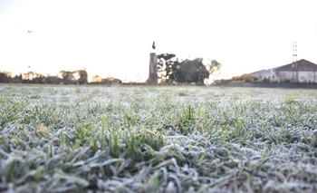 Imagen de la nota: ¡Qué frío! Cayó la primera helada del año en Olavarría