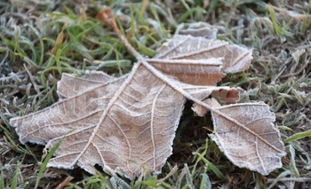 Imagen de la nota: Día del padre helado: así estará el tiempo en Olavarría este domingo