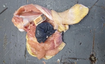 Imagen de la nota: Encuentran droga dentro de una pata de pollo y en un morrón 