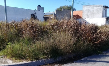 Reclamo por un terreno abandonado Imagen de la nota: Reclamo por un terreno abandonado