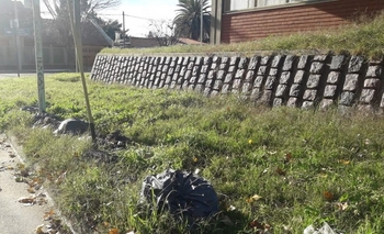 Imagen de la nota: Ex Escuela Nacional: 