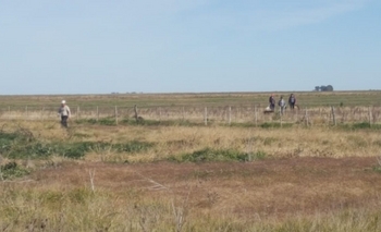 Imagen de la nota: Infraccionaron a 5 olavarrienses por caza furtiva