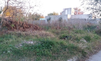 Imagen de la nota: Quejas por un terreno baldío “lleno de mugre y pastos”